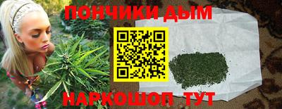 гидра Гай