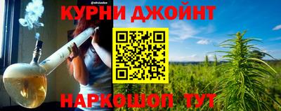 гидра Гай