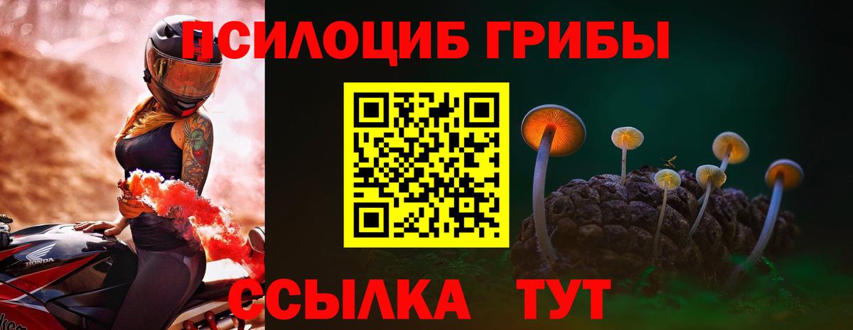 Псилоцибиновые грибы прущие грибы Светлоград